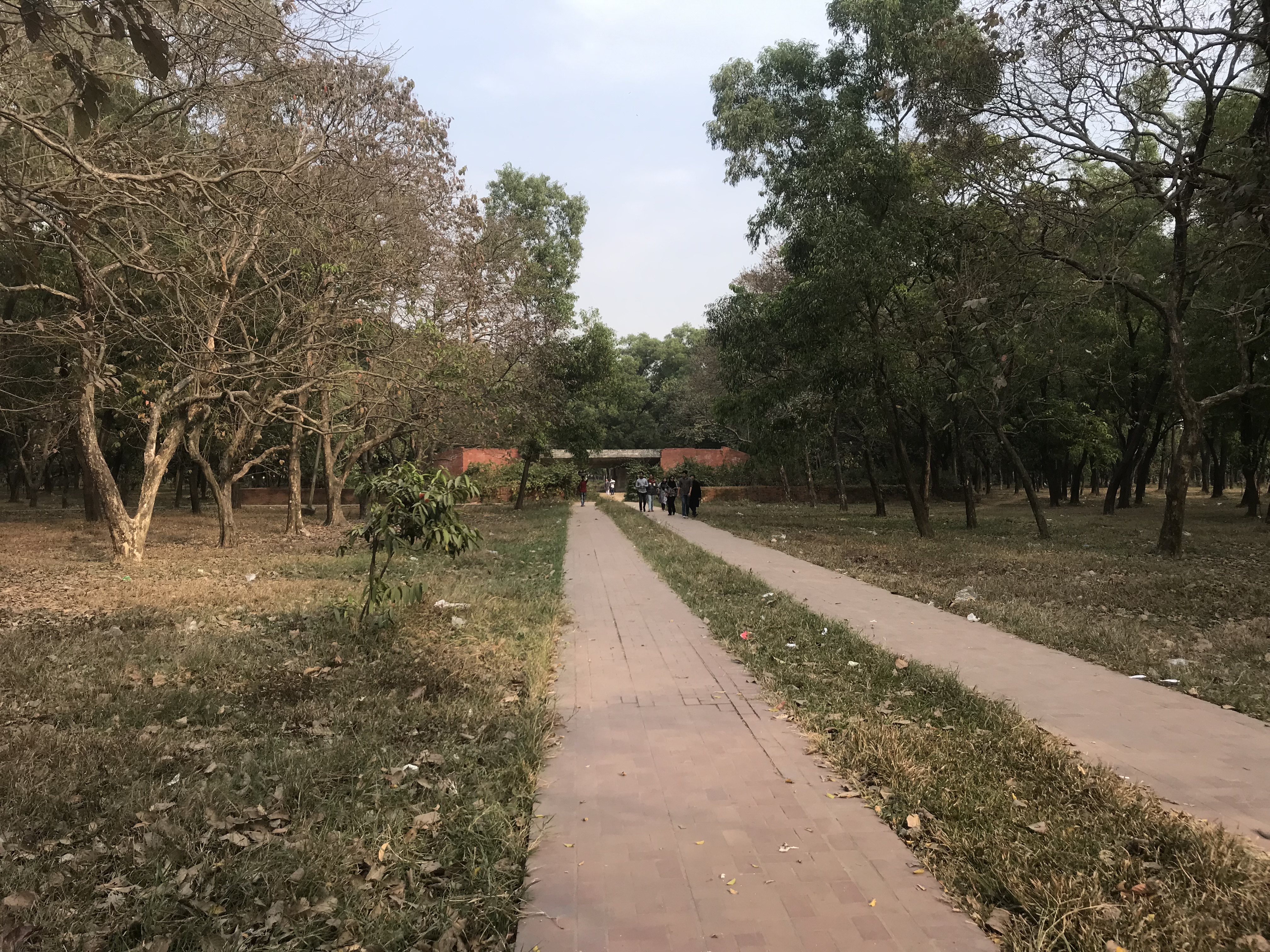 চন্দ্রিমা উদ্যানের সবুজ ল্যান্ডস্কেপ