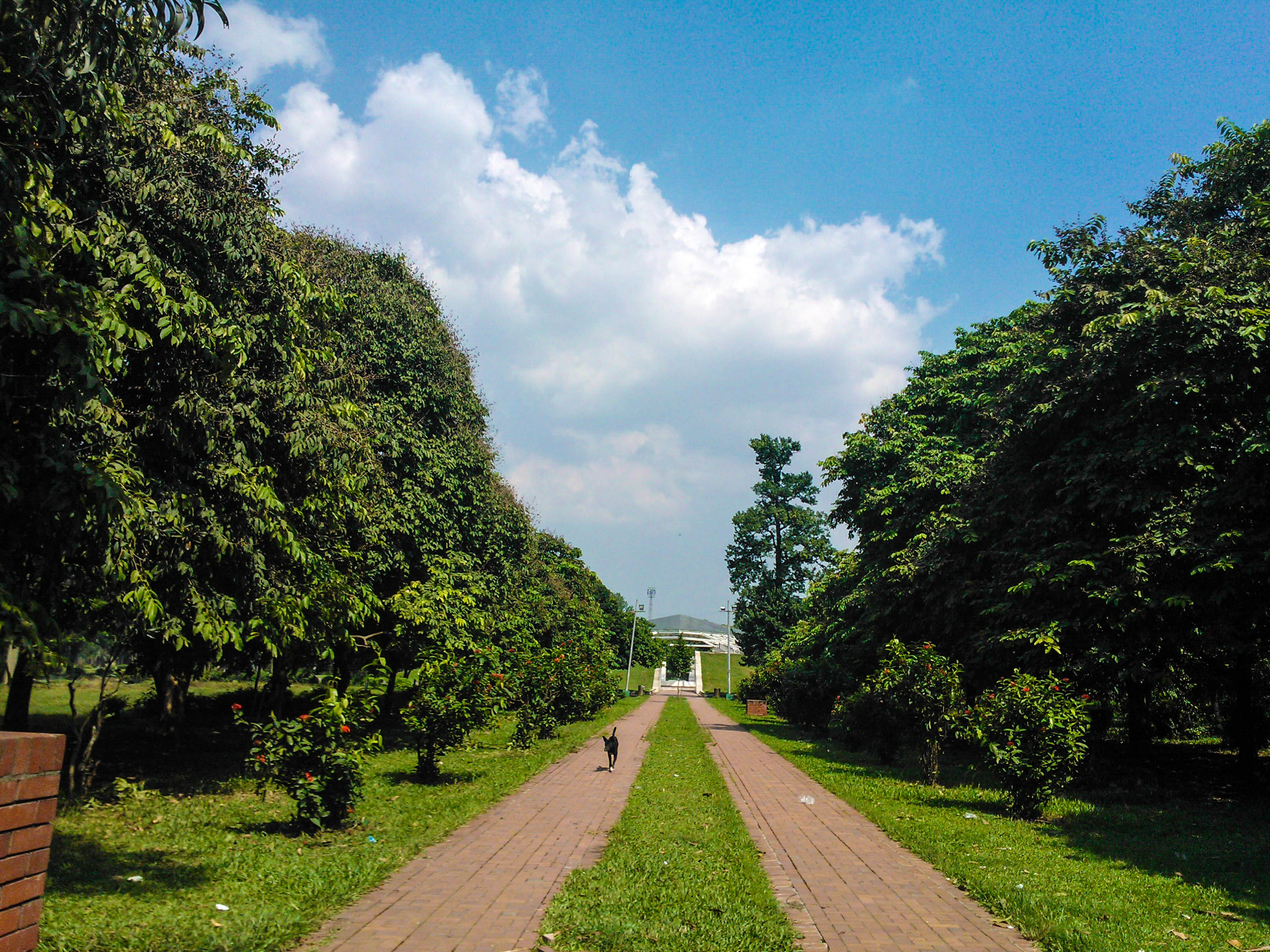 চন্দ্রিমা উদ্যানের বৃক্ষঘেরা হাঁটার পথ