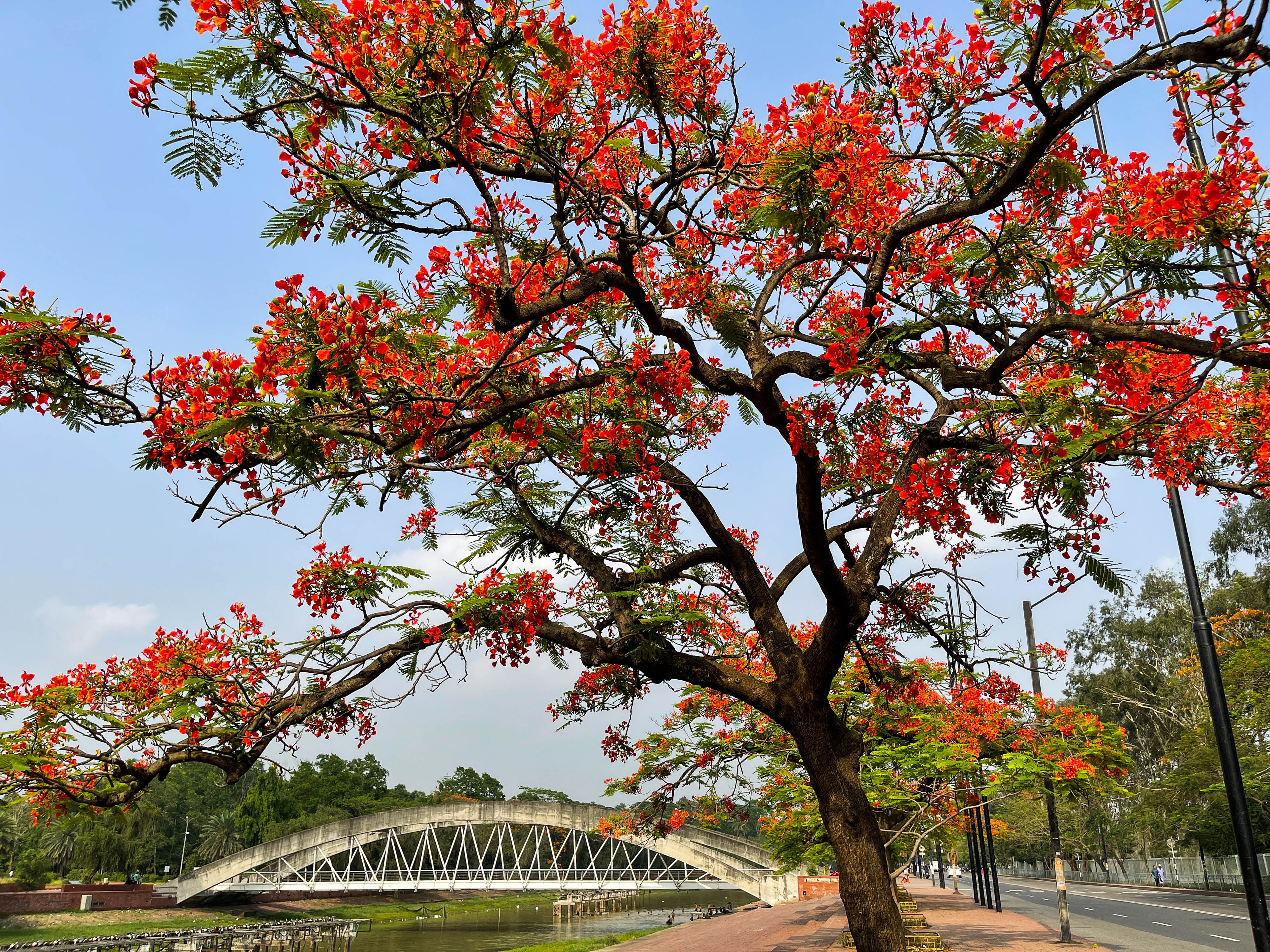 ক্রিসেন্ট লেকসহ চন্দ্রিমা উদ্যানের বিস্তৃত দৃশ্য